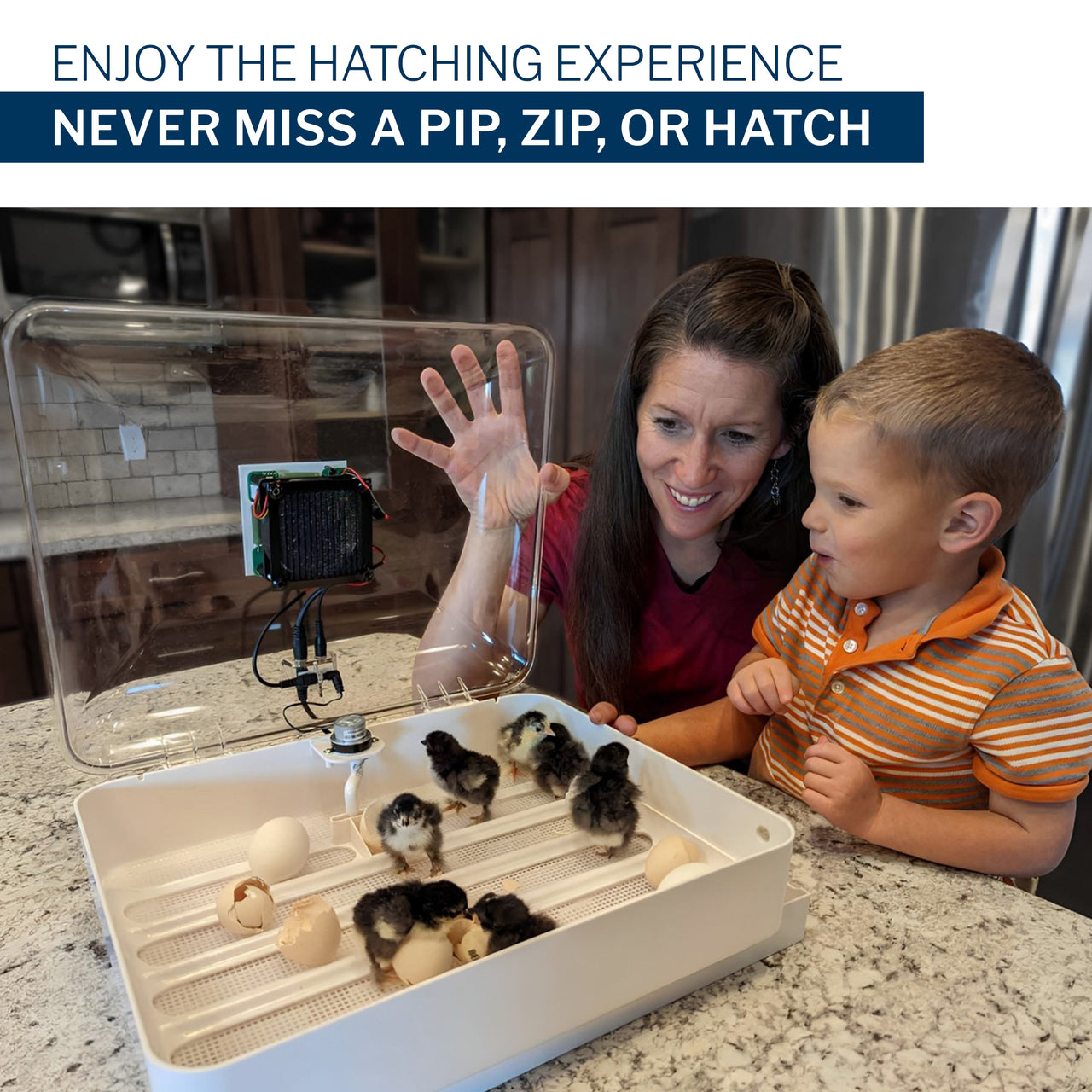 IncuView 3 Pro™ All-In-One Automatic Egg Incubator