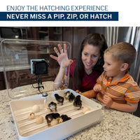 Thumbnail for IncuView 3 Pro™ All-In-One Automatic Egg Incubator