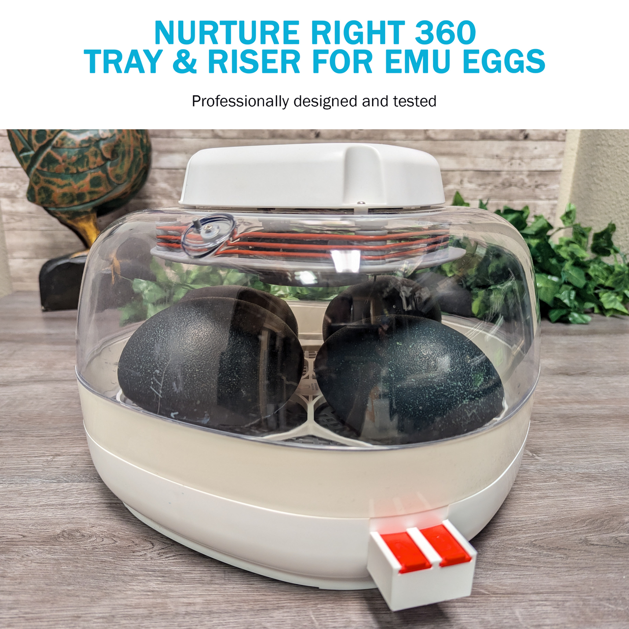 Nurture Right 360 Egg Trays for Small to XL Egg Sizes