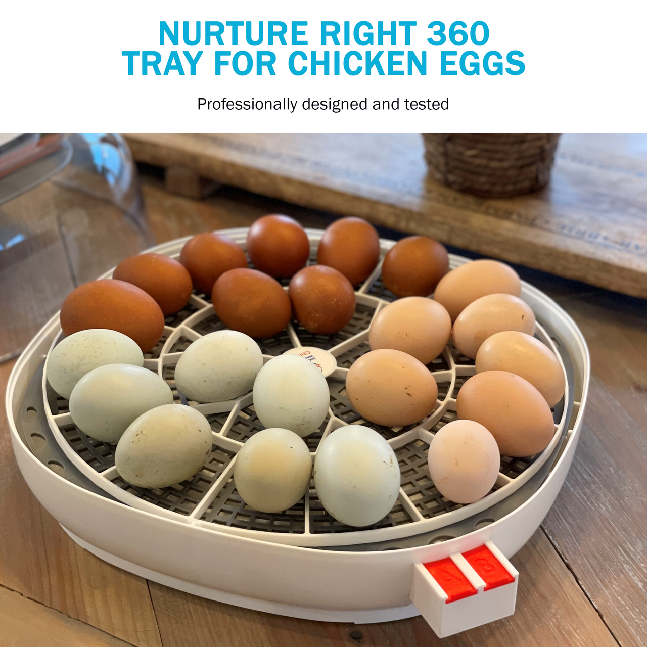 Nurture Right 360 Egg Trays for Small to XL Egg Sizes