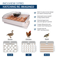 Thumbnail for IncuView 3 Pro™ All-In-One Automatic Egg Incubator