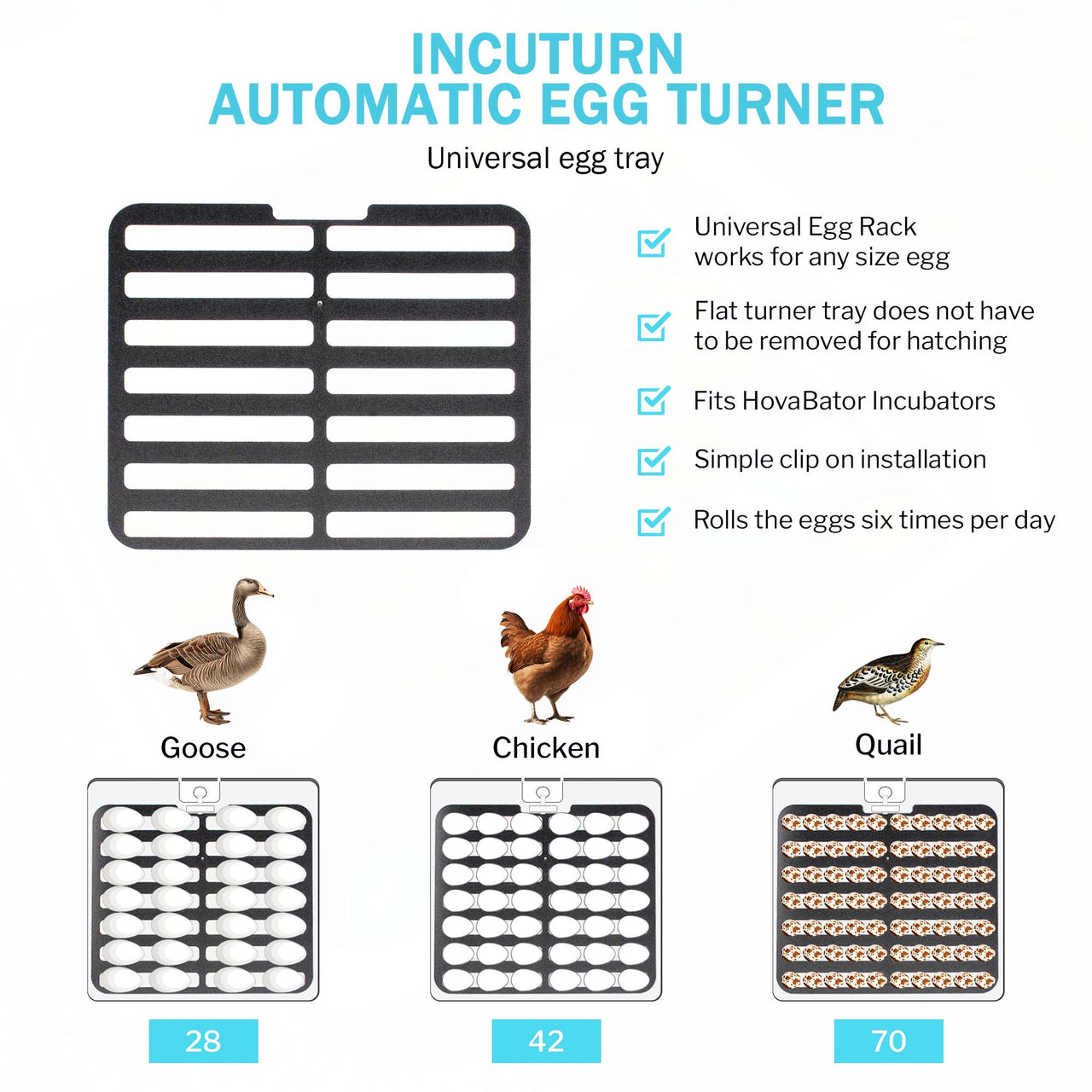 Hova Bator 2370 Egg Incubator & Brooder Ultimate Combo Kit