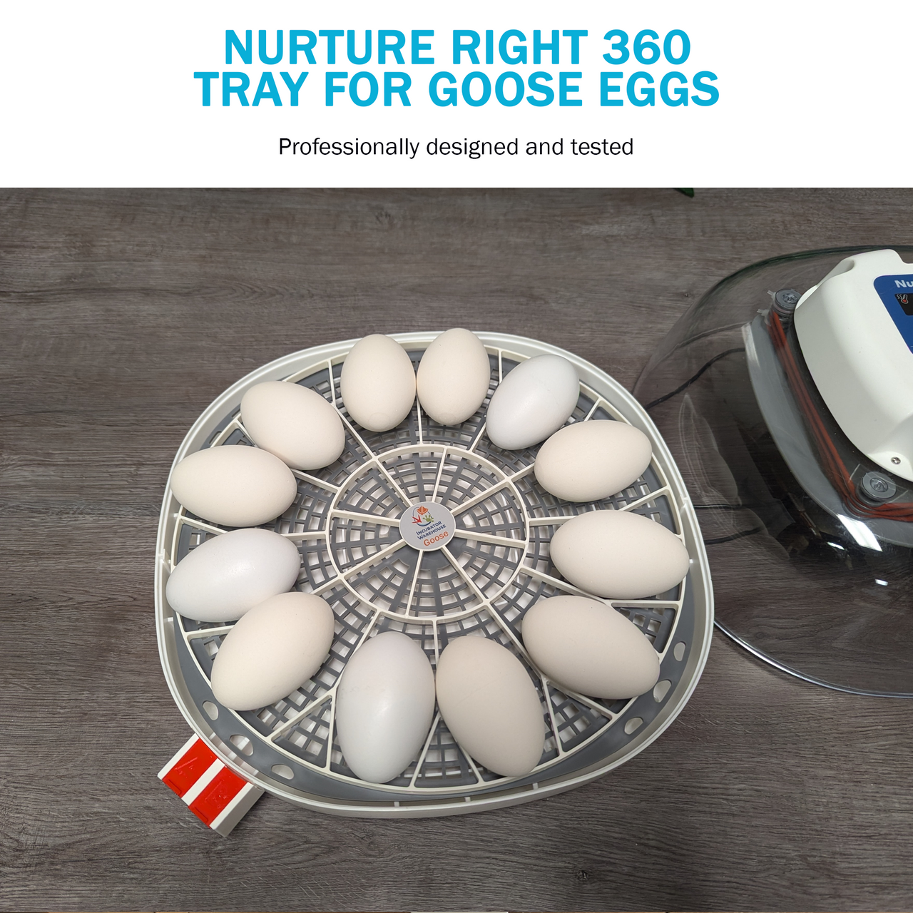 Nurture Right 360 Egg Trays for Small to XL Egg Sizes