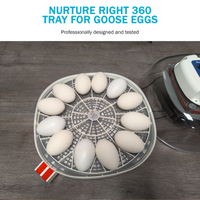 Thumbnail for Nurture Right 360 Egg Trays for Small to XL Egg Sizes