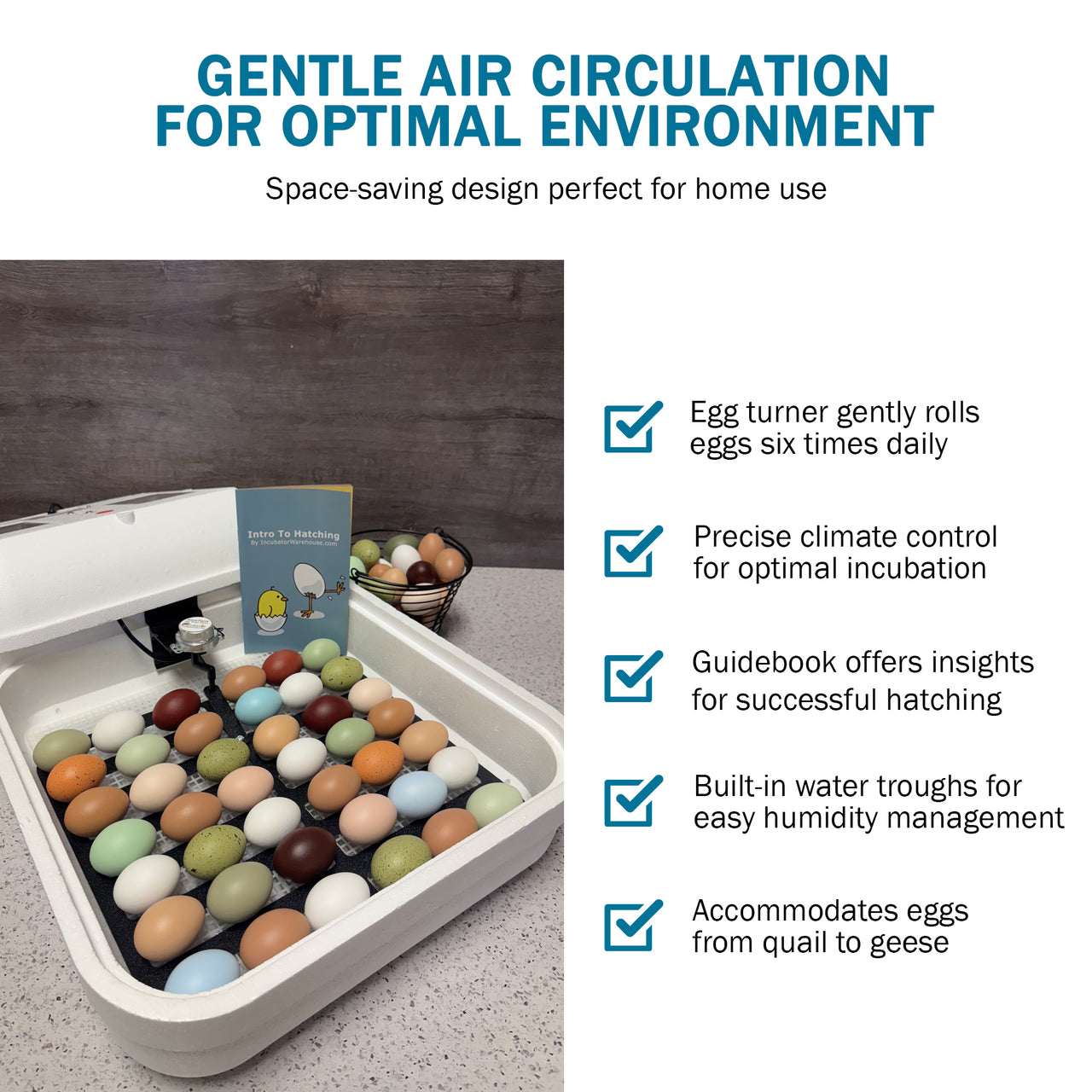 HovaBator 2370 Circulated Air Egg Incubator Starter Combo Kit