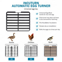 Thumbnail for HovaBator 2370 Circulated Air Egg Incubator Deluxe Combo Kit