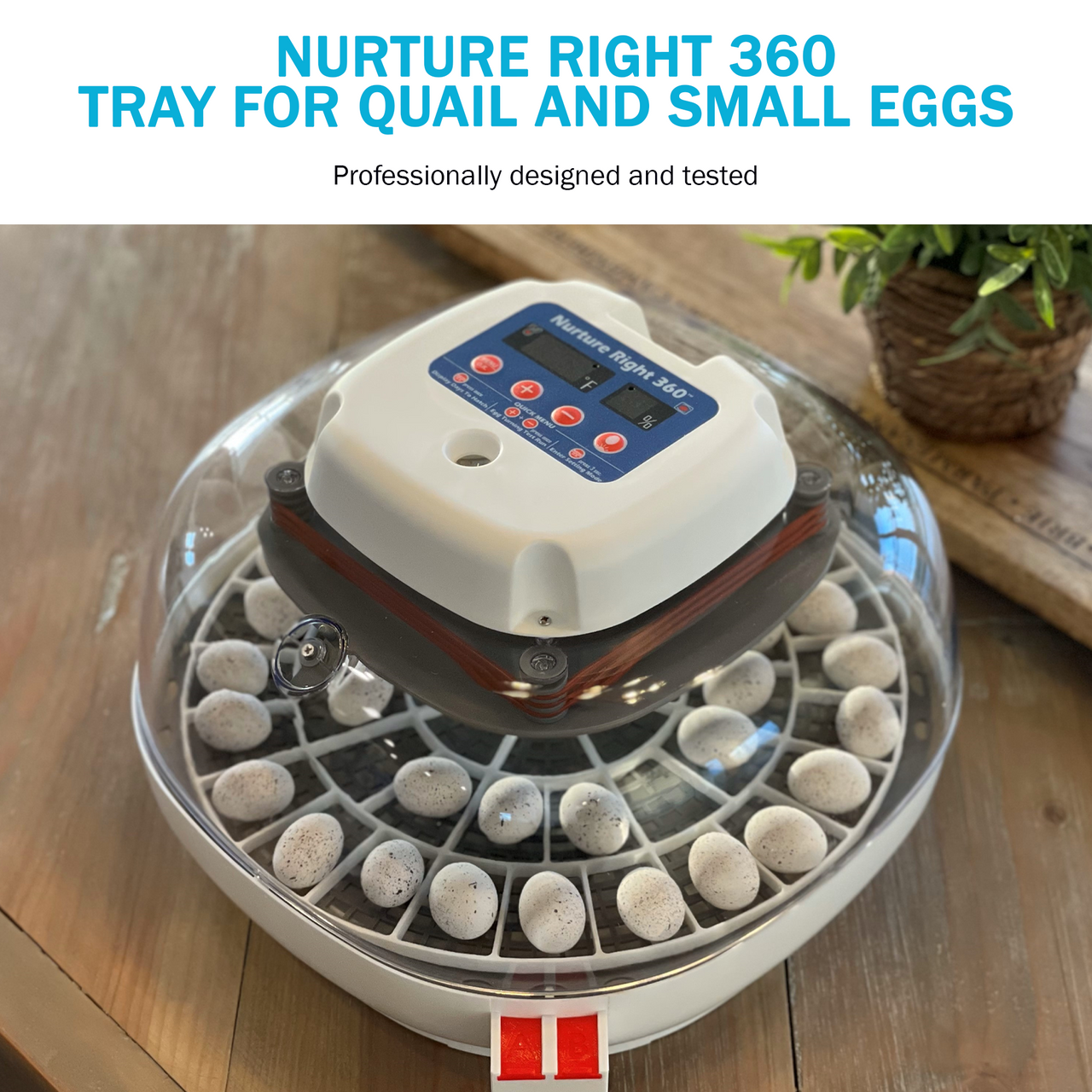 Egg Trays for Nurture Right 360 Egg Incubator (Various Sizes)