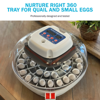 Thumbnail for Nurture Right 360 Egg Trays for Small to XL Egg Sizes