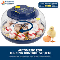 Thumbnail for AccuHatch 360 Tabletop Incubator