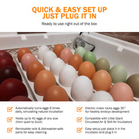 Thumbnail for Little Giant Automatic Egg Turner 6300 w Quail Rails