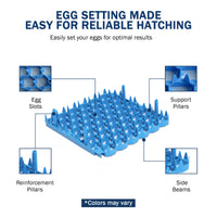 Thumbnail for Set of 6 Plastic Chicken Egg Trays for Cabinet Incubator