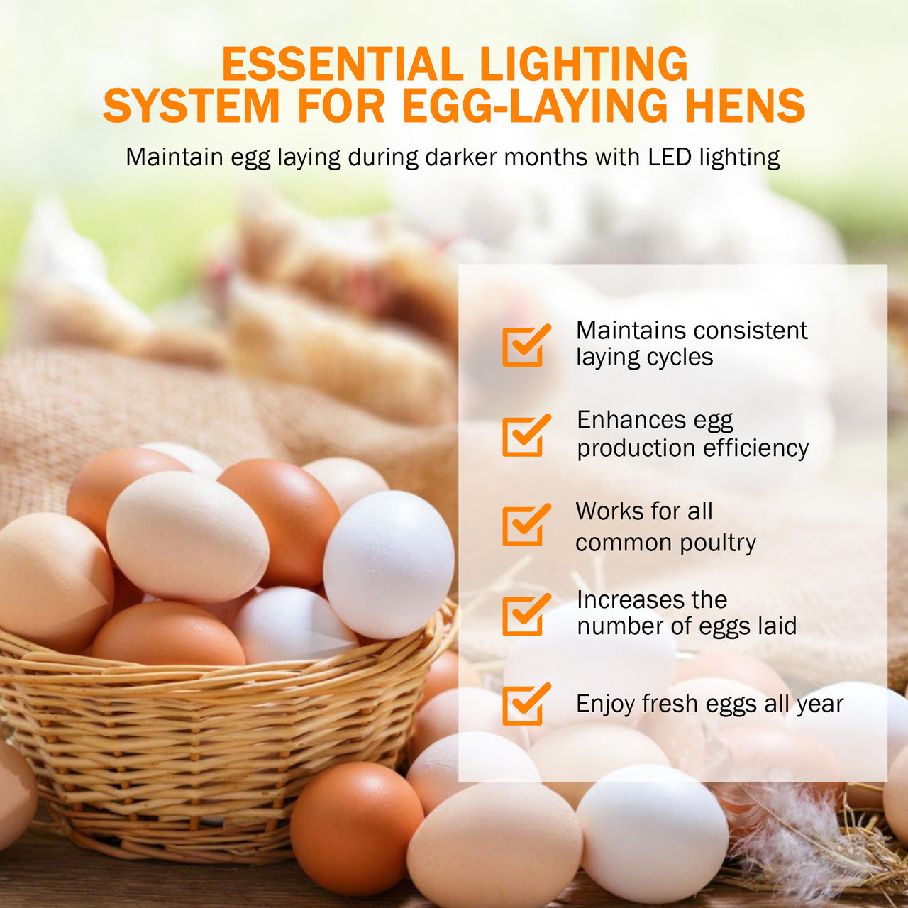 AutoCoop LayLight2 Chicken Coop automatic LED light w/ timer for egg laying hens