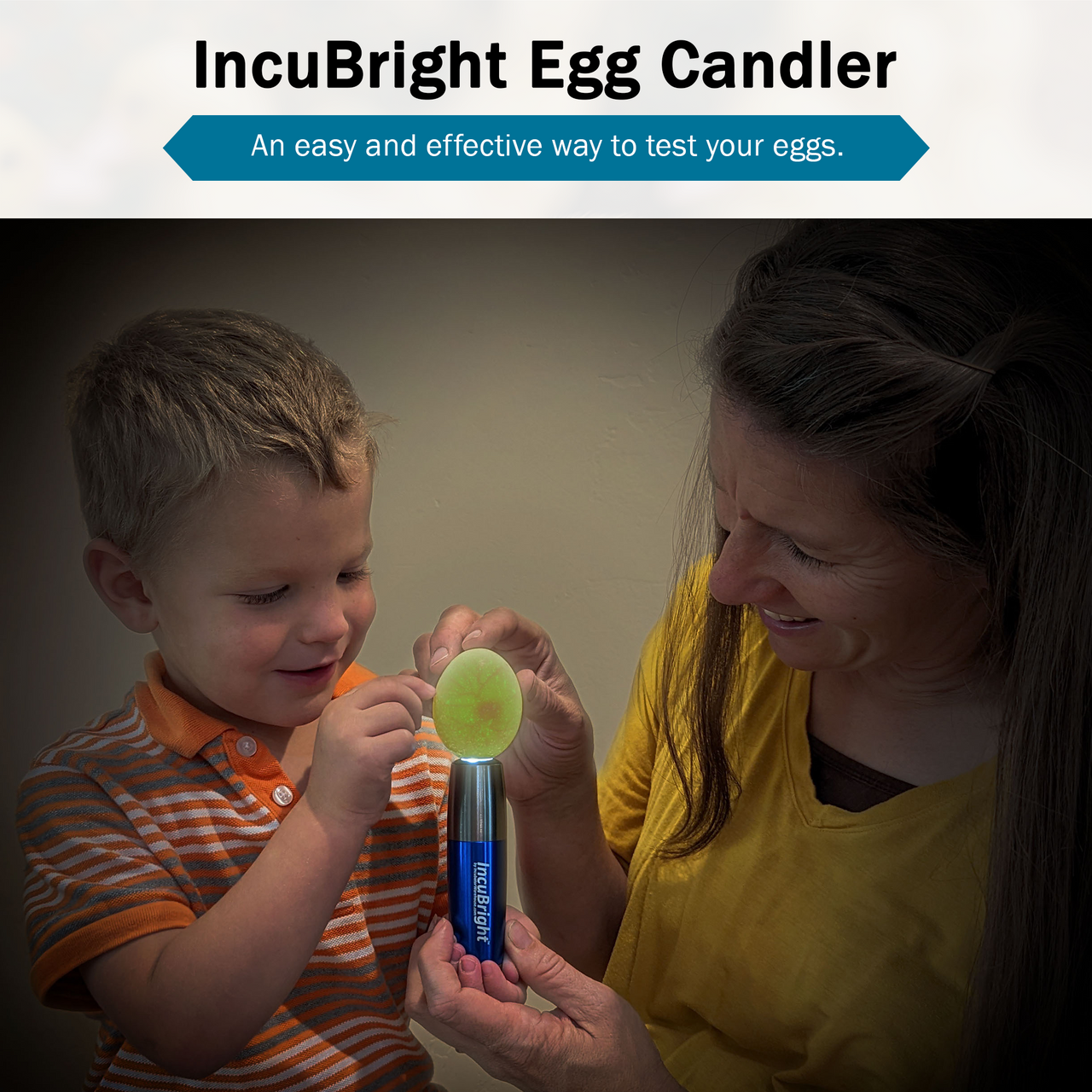 Incu-Bright™  Cool Light Egg Candler - Incubator Warehouse Exclusive