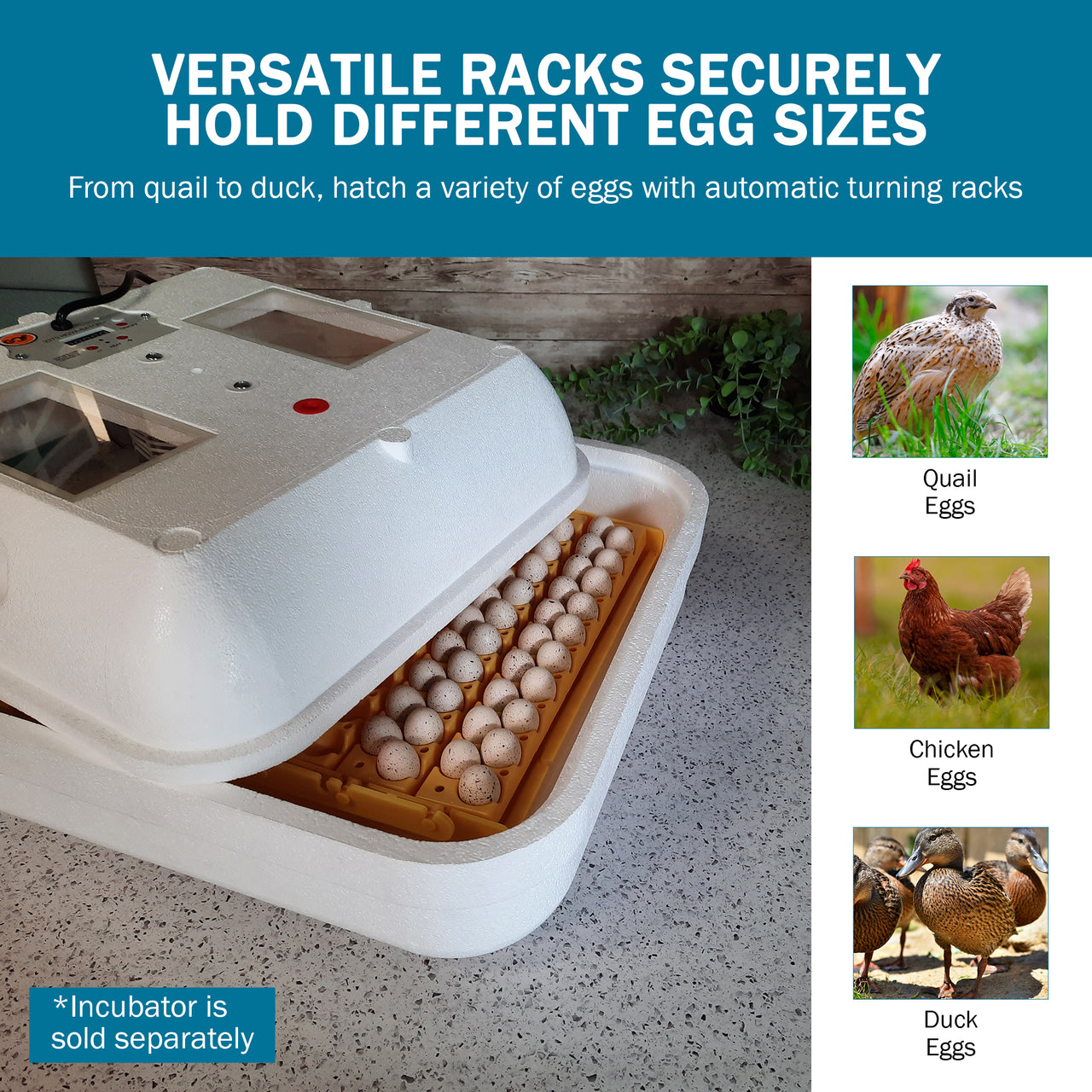 Hova-Bator Automatic Egg Turner with 6 Universal Egg Racks & 6 Quail Egg Racks