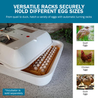 Thumbnail for Hova-Bator Automatic Egg Turner with 6 Universal Egg Racks & 6 Quail Egg Racks