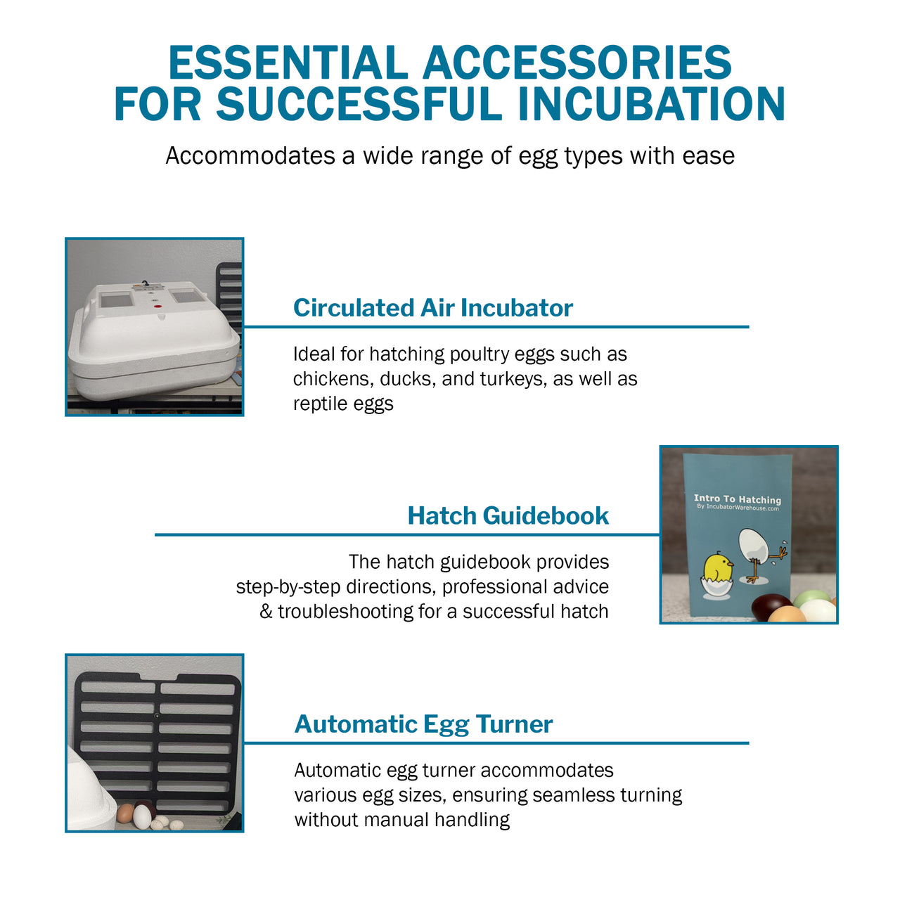 HovaBator 2370 Circulated Air Egg Incubator Starter Combo Kit