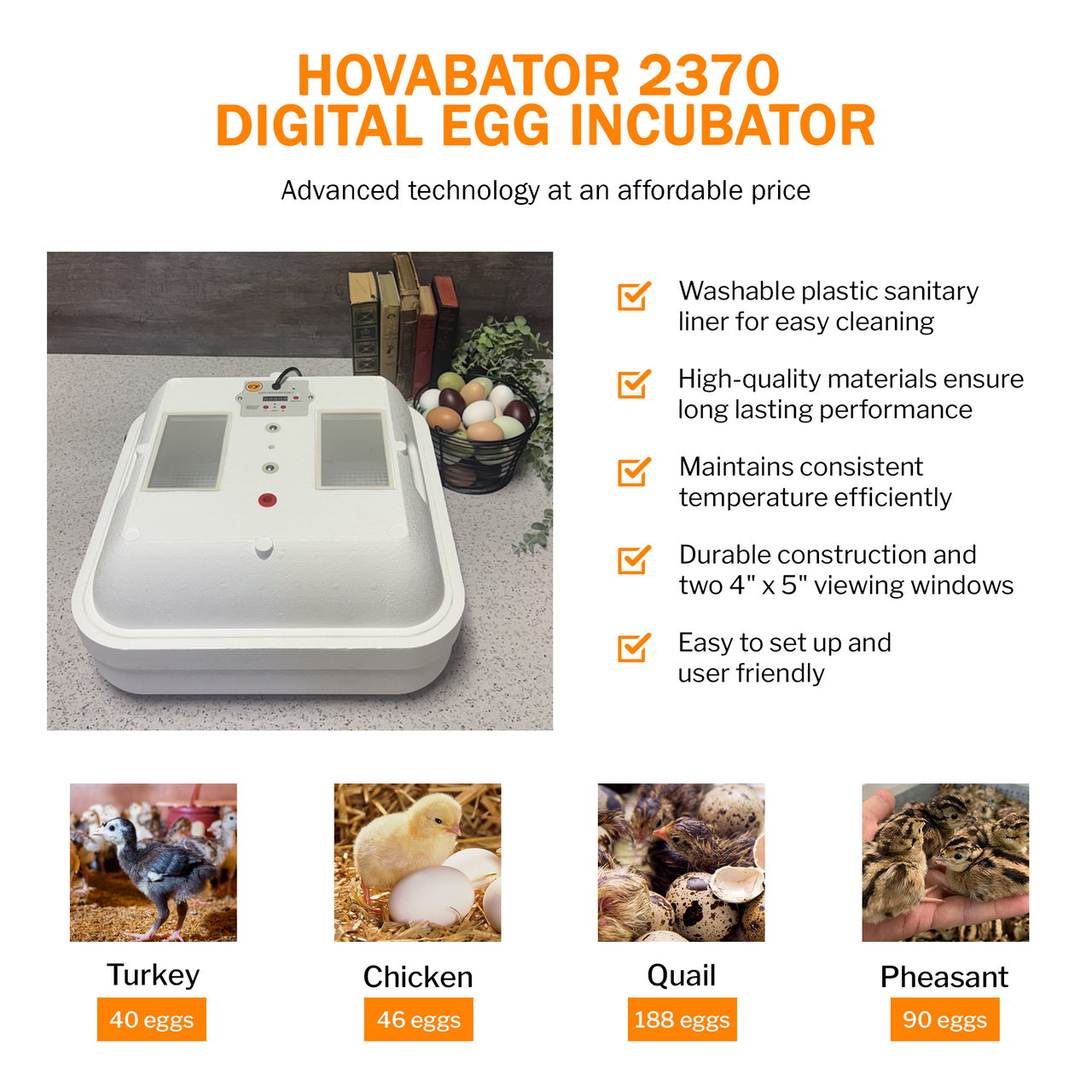 Hova-Bator 2370 Circulated Air Incubator with Electronic Thermostat