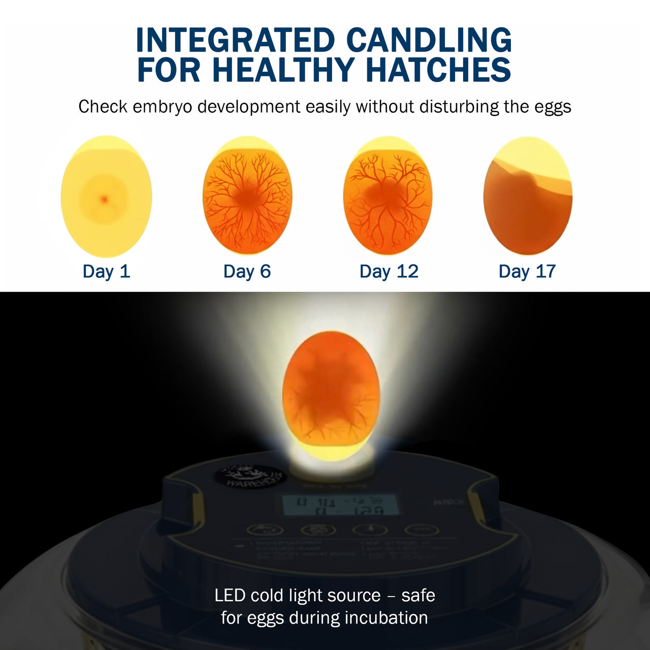 AccuHatch 360 Tabletop Incubator