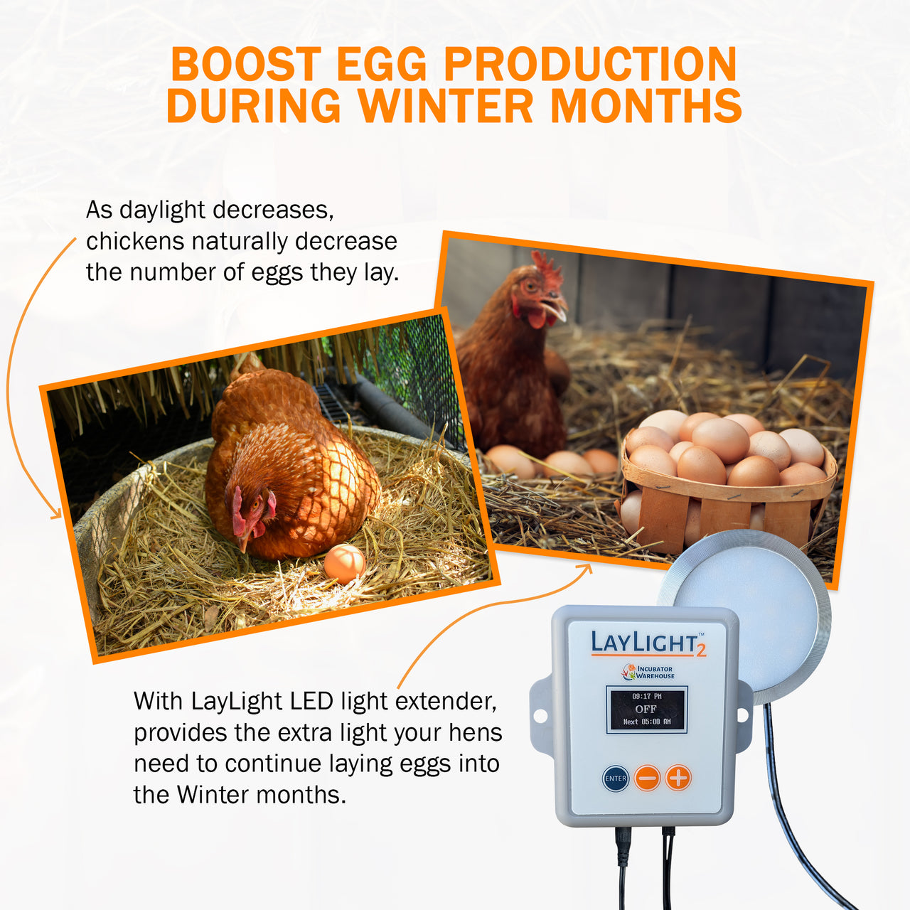 AutoCoop LayLight2 Chicken Coop automatic LED light w/ timer for egg laying hens