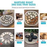 Thumbnail for Egg Trays for Nurture Right 360 Egg Incubator (Various Sizes)