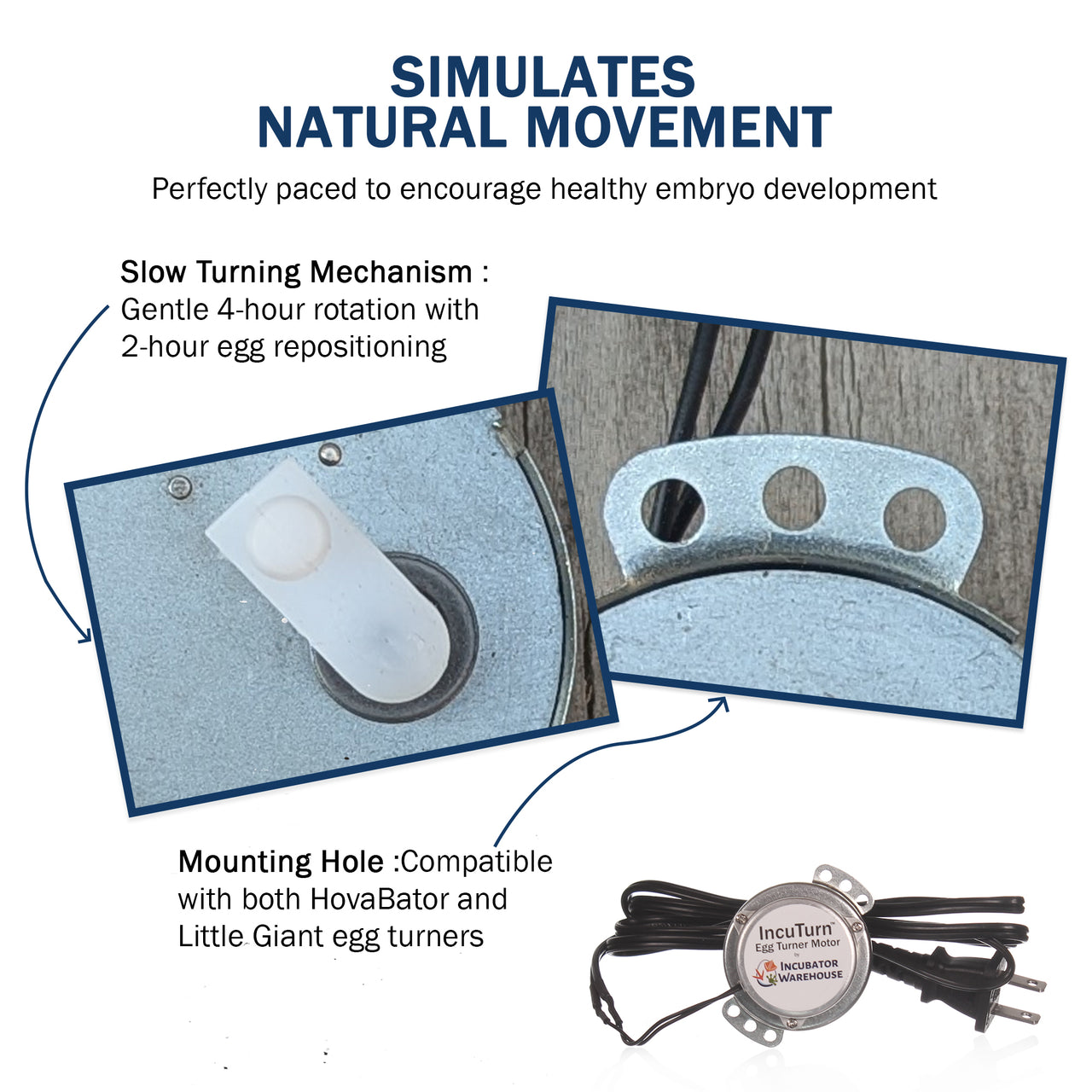 Replacement Egg Turner Motor for Little Giant, HovaBator, and Farm Innovators