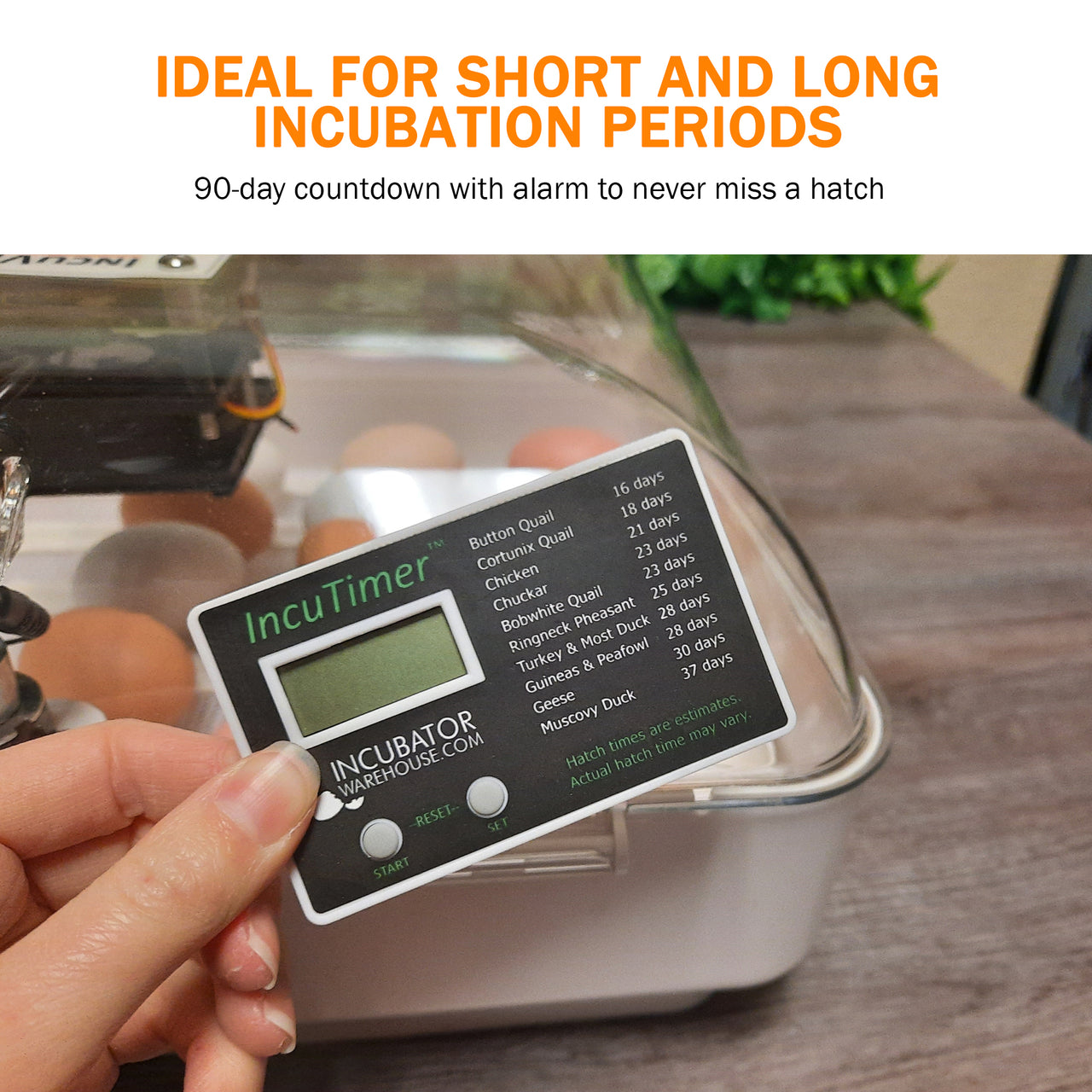 IncuTimer™ Digital Hatch Countdown Timer for Egg Incubator