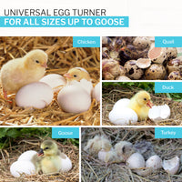 Thumbnail for IncuView 3 Pro™ All-In-One Automatic Egg Incubator