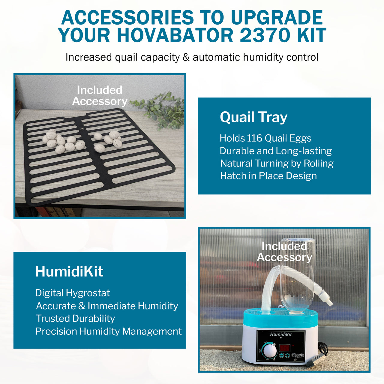 HovaBator 2370 Circulated Air Egg Incubator Deluxe Combo Kit