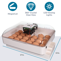 Thumbnail for IncuView 3 Pro All-In-One Automatic Egg Incubator