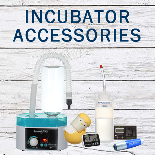 Incubator Warehouse Digital Egg Scale - Accurate Humidity Measurement and Egg Sizing