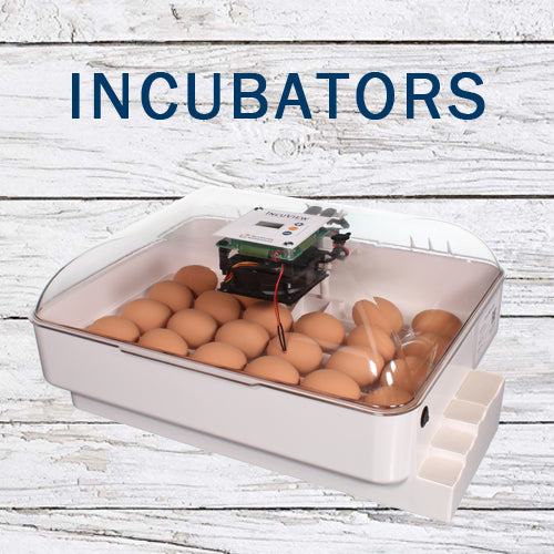Egg Candling – Incubator Warehouse