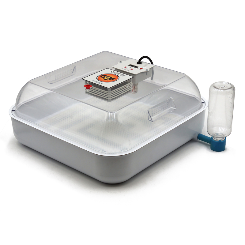 ChickBator 3100 110V AC