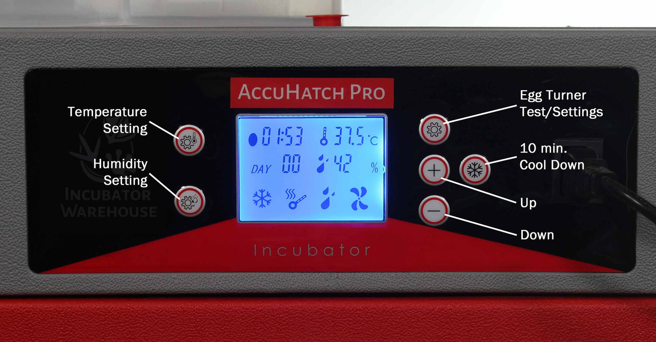 AccuHatch Pro™ Cabinet Incubator & Hatcher
