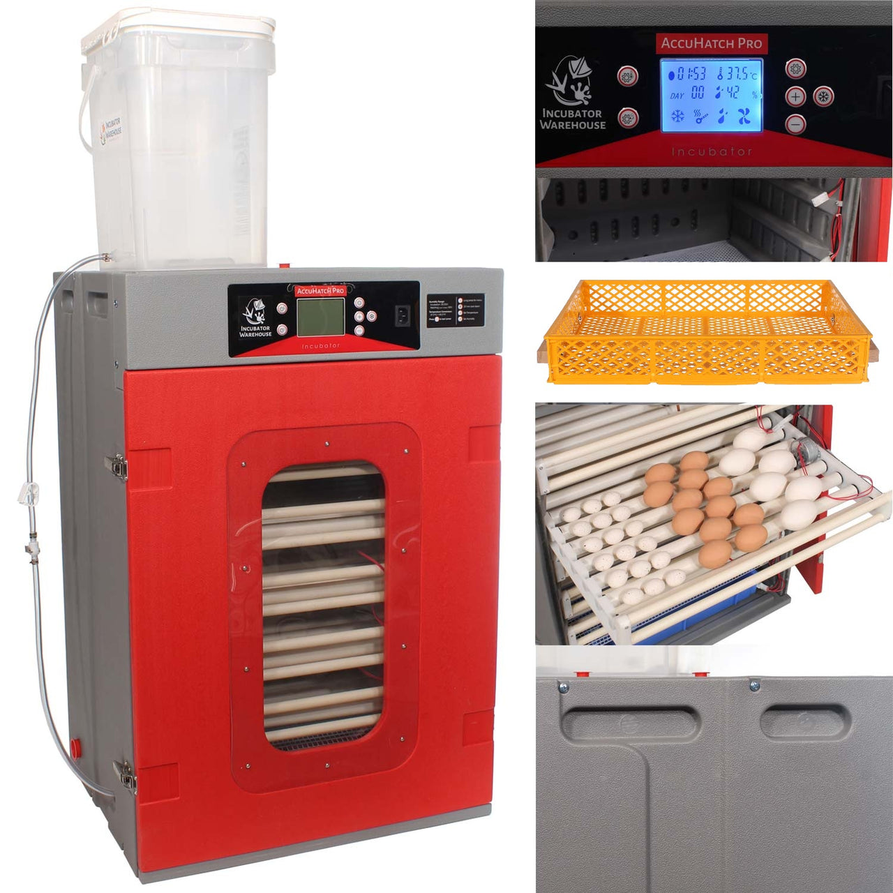 AccuHatch Pro™ Cabinet Incubator & Hatcher