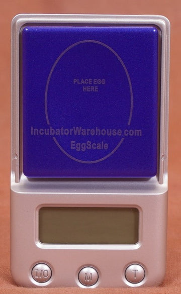 Ml B01 Mini Electronic Digital Kitchen Egg Incubation Weighing Scale -  China Egg Scale, Scale