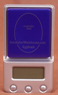 Digital Egg Scale - Accurate Humidity Measurement and Egg Sizing –  Incubator Warehouse