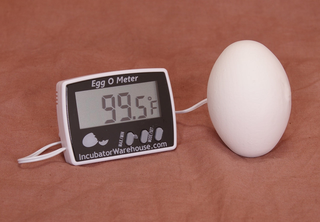 Egg-O-Meter™ | Egg Incubator Hatching Thermometer - A Better Egg Thermometer!