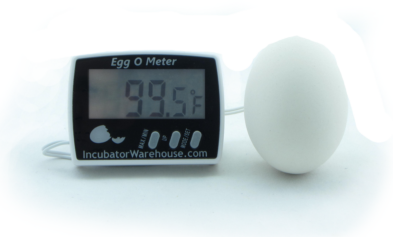 Egg-O-Meter™ | Egg Incubator Hatching Thermometer - A Better Egg Thermometer!