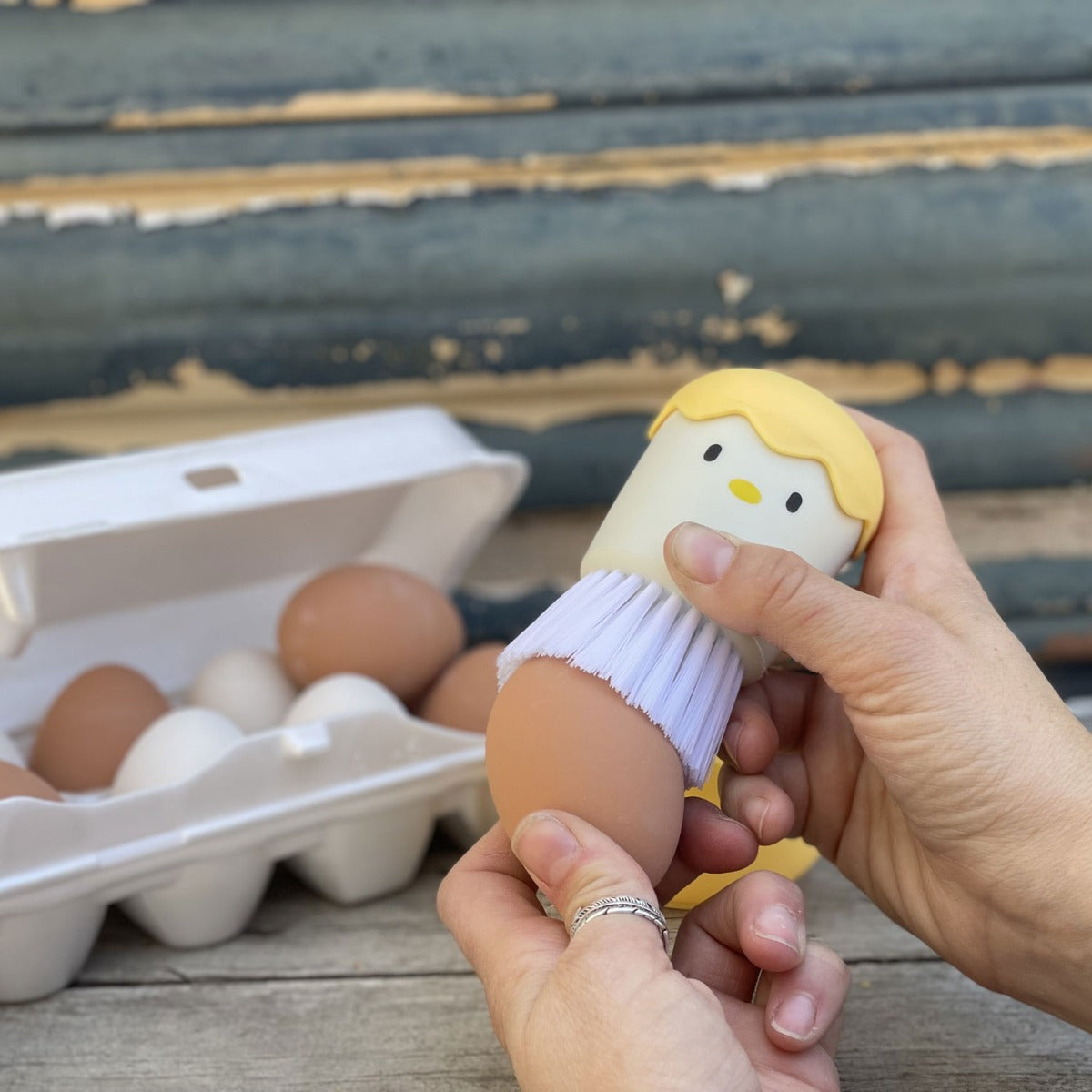 EZ-Clean Egg Brush for Cleaning Incubator and Eggs – Incubator