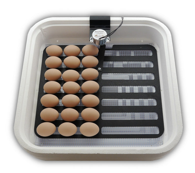 hovabator, hova bator, hovabator Incubator Warehouse