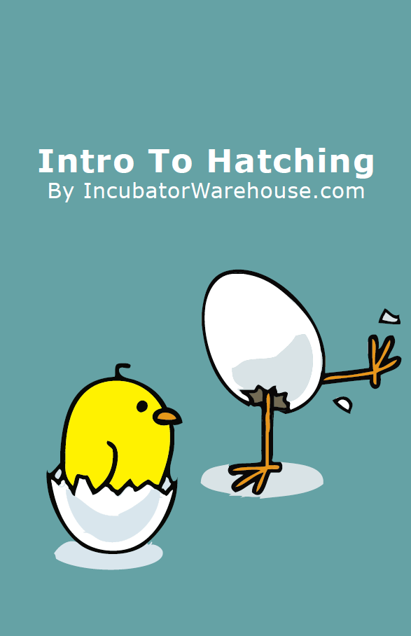 /i/n/intro-to-hatching.png