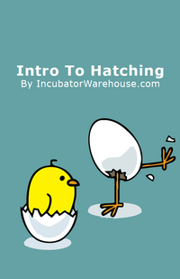 Thumbnail for /i/n/intro-to-hatching.png
