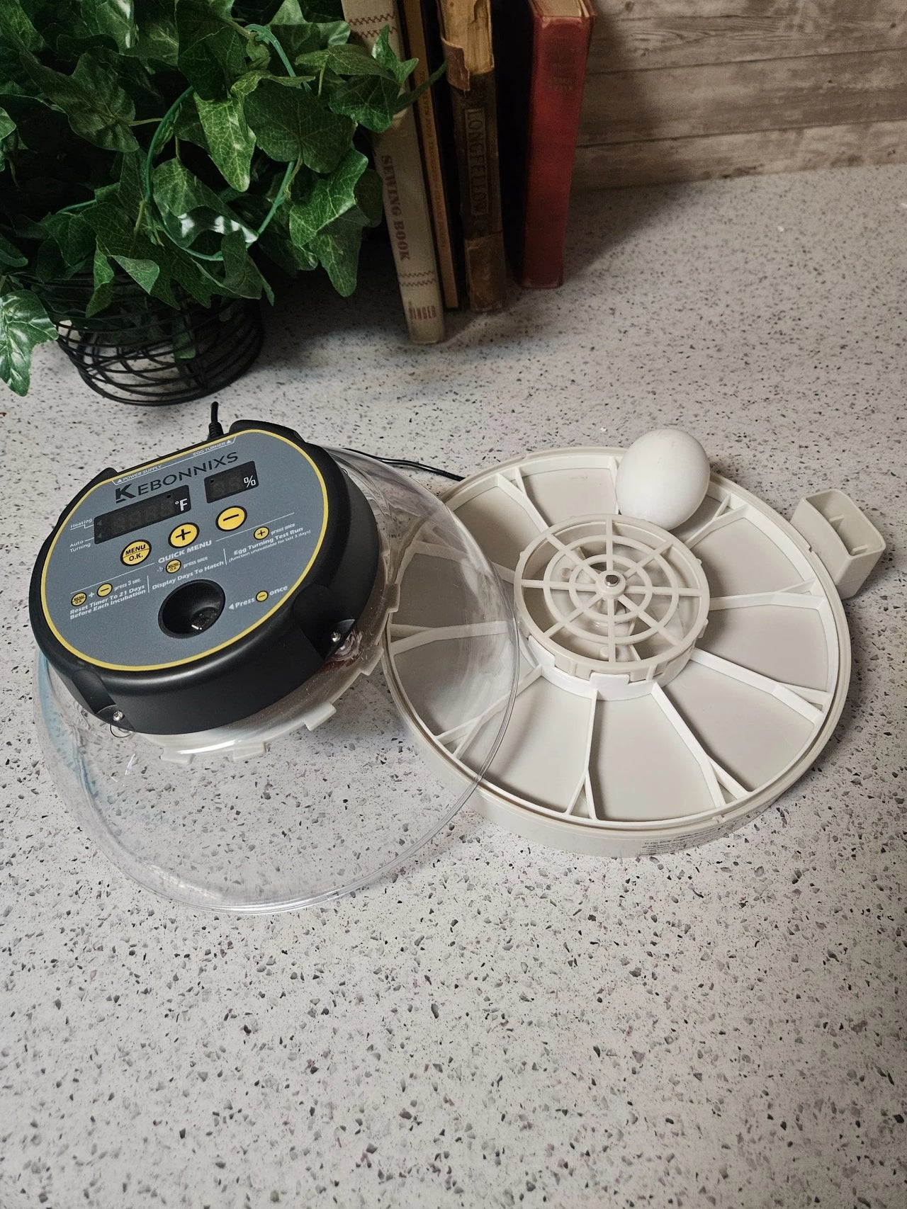 Egg Trays for Kebonnixs Egg Incubator (Various Sizes)