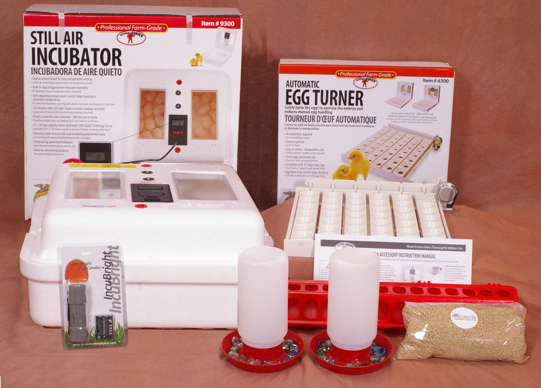 Little Giant Incubator Thermometer Kit