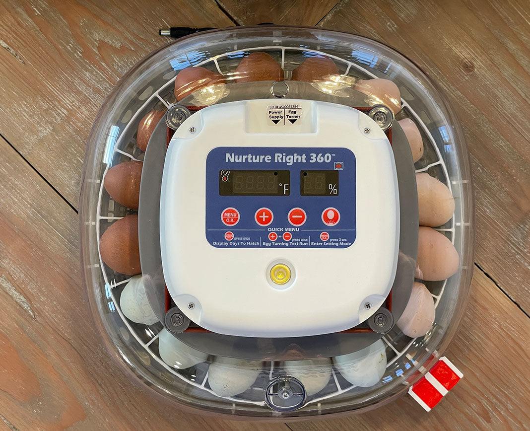 Egg Trays for Nurture Right 360 Egg Incubator (Various Sizes)
