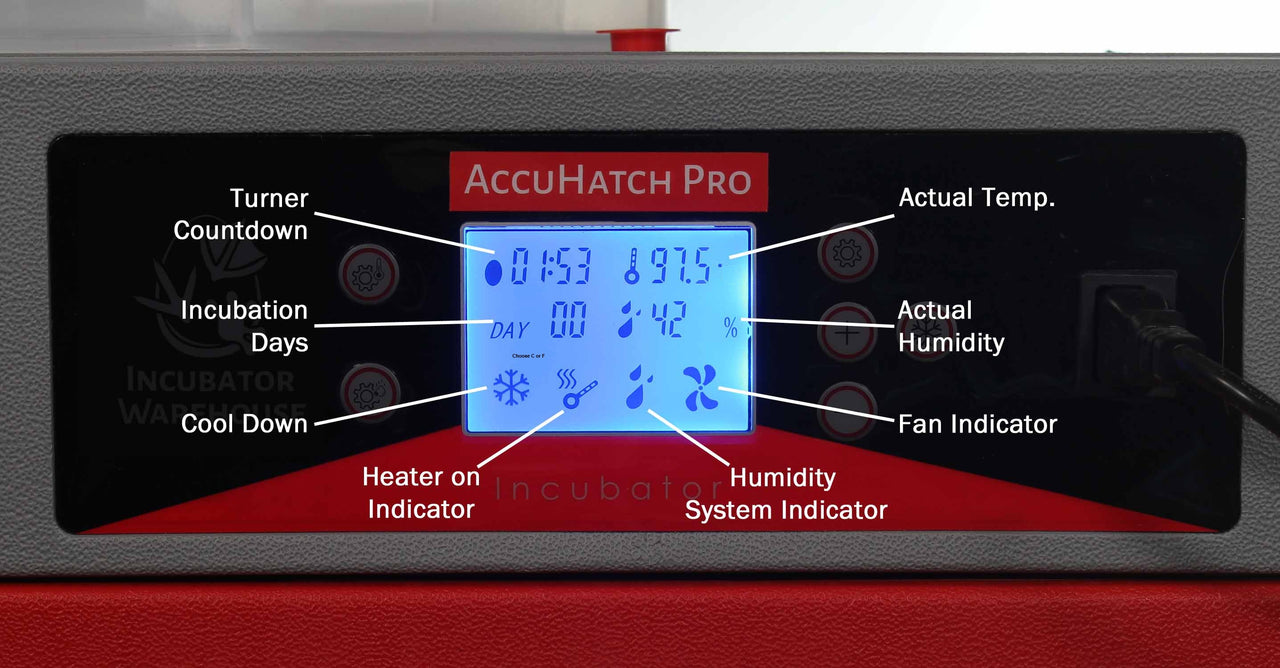 AccuHatch Pro™ Cabinet Incubator & Hatcher